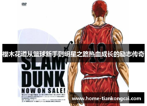 樱木花道从篮球新手到明星之路热血成长的励志传奇 樱木花道从篮球新手到明星之路热血成长的励志传奇