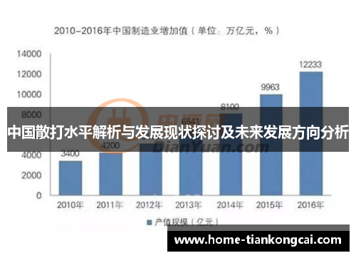 中国散打水平解析与发展现状探讨及未来发展方向分析