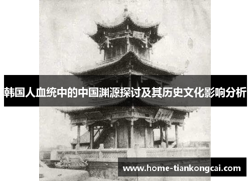 韩国人血统中的中国渊源探讨及其历史文化影响分析