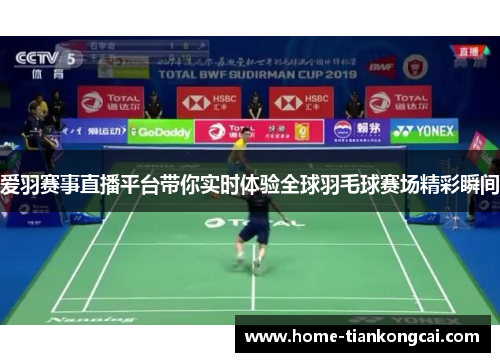 爱羽赛事直播平台带你实时体验全球羽毛球赛场精彩瞬间
